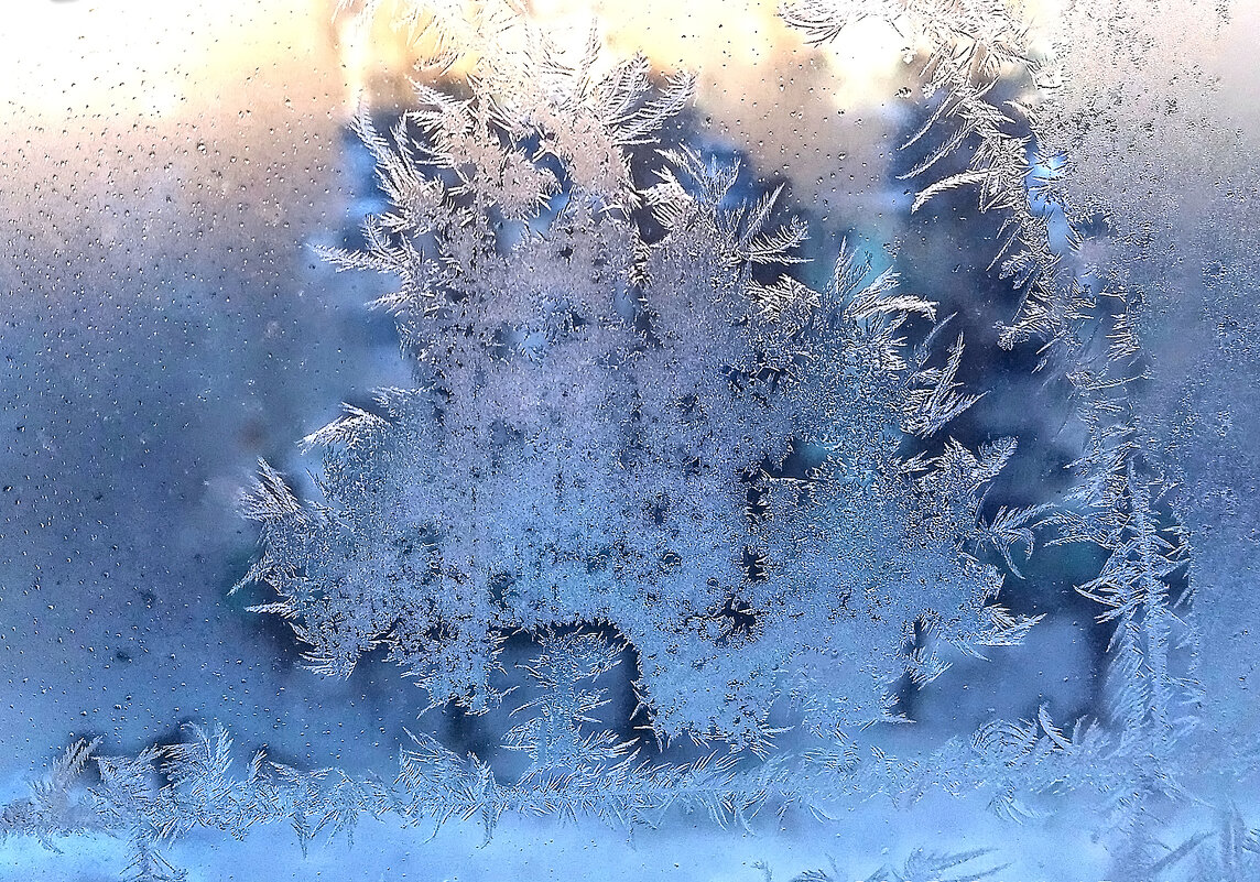 Подарок Деда Мороза! - Валентина Нефёдова Подарок Деда Мороза! - Валентина Нефёдова