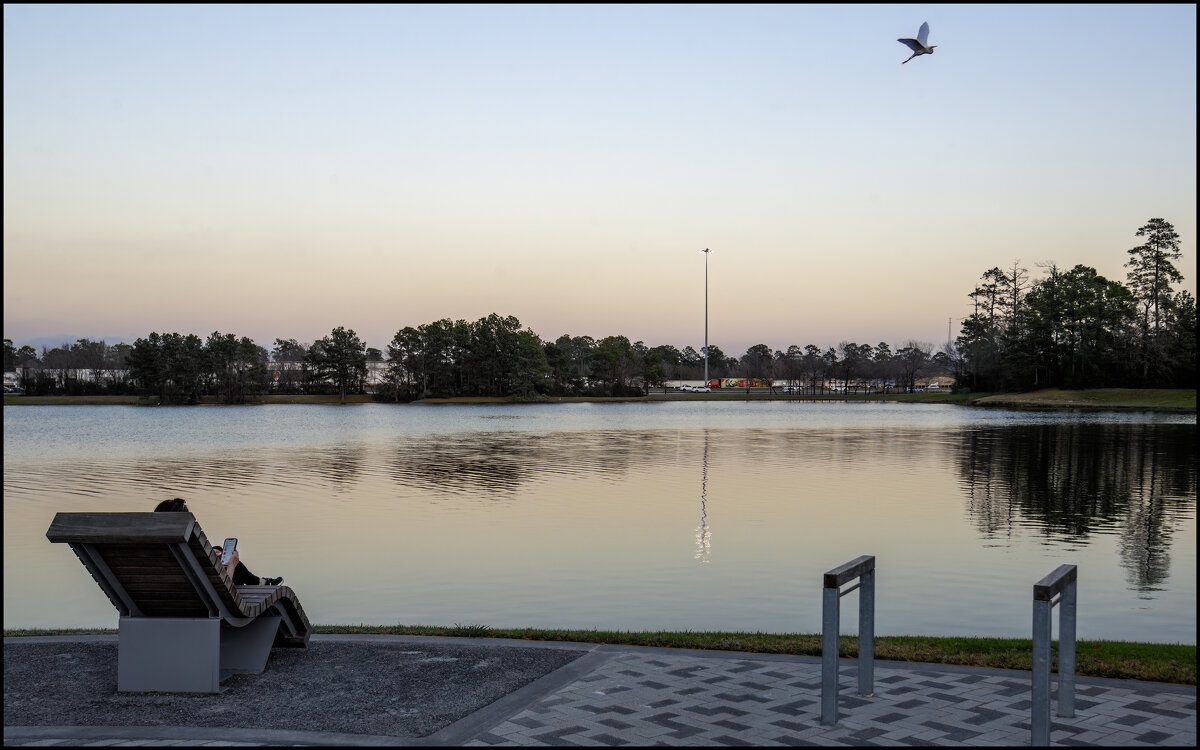 Пейзаж с незнакомкой и цаплей - **** vedin