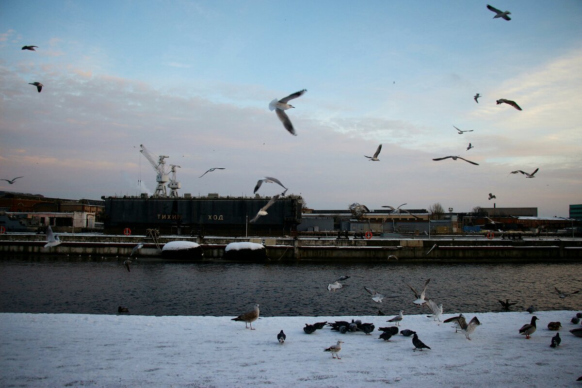 *** - Наталья Герасимова