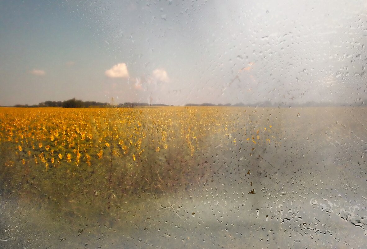 За окном автомобиля... - Роман Савоцкий За окном автомобиля... - Роман Савоцкий