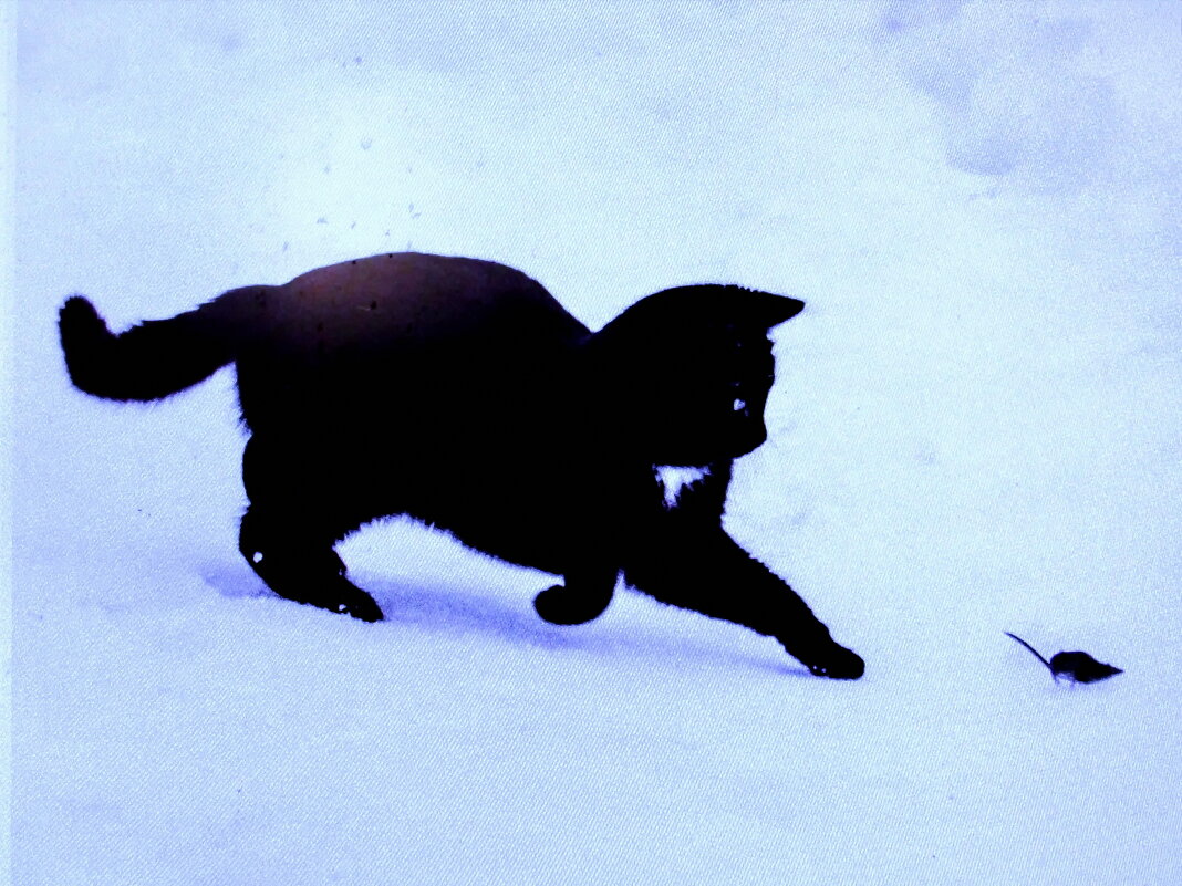 В погоне - Людмила Смородинская