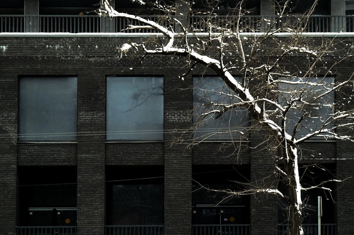 ******* - Николай Семёнов