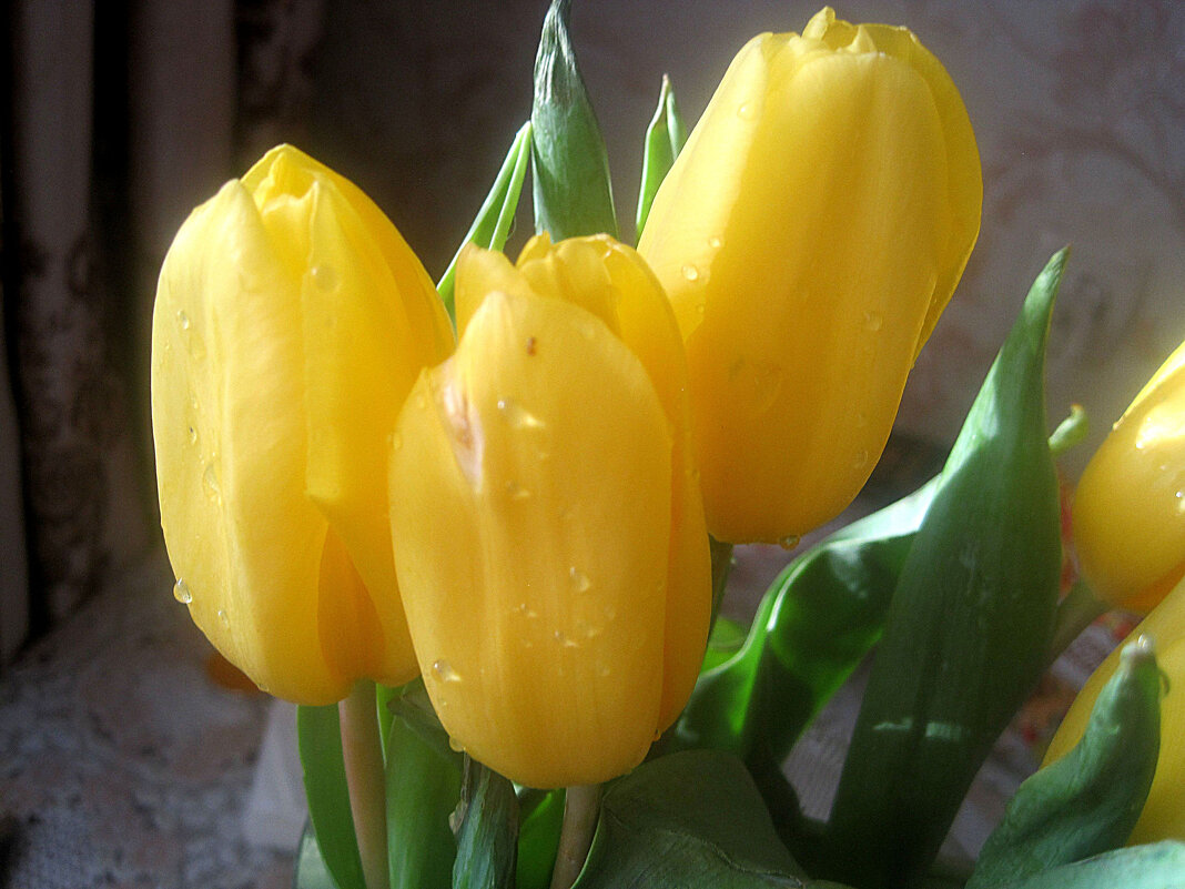 Солнечные - Елена Семигина Солнечные - Елена Семигина