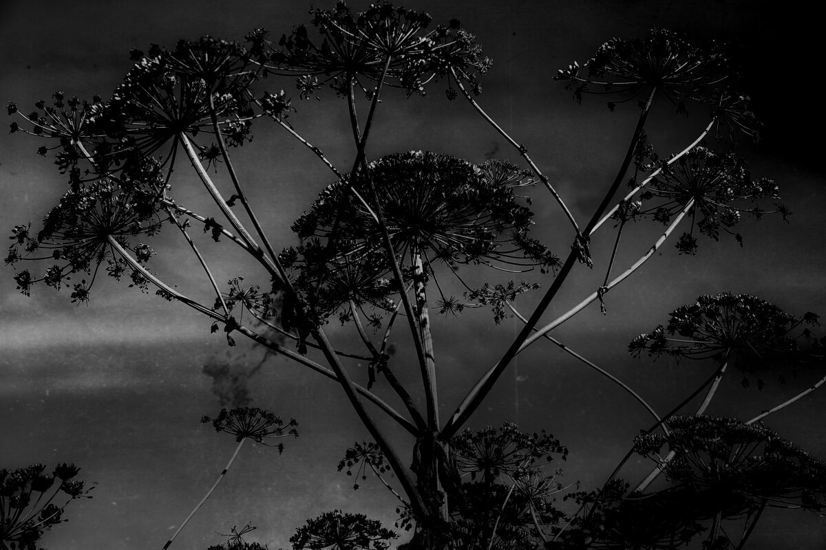 Название отсутствует - Денис Безногов