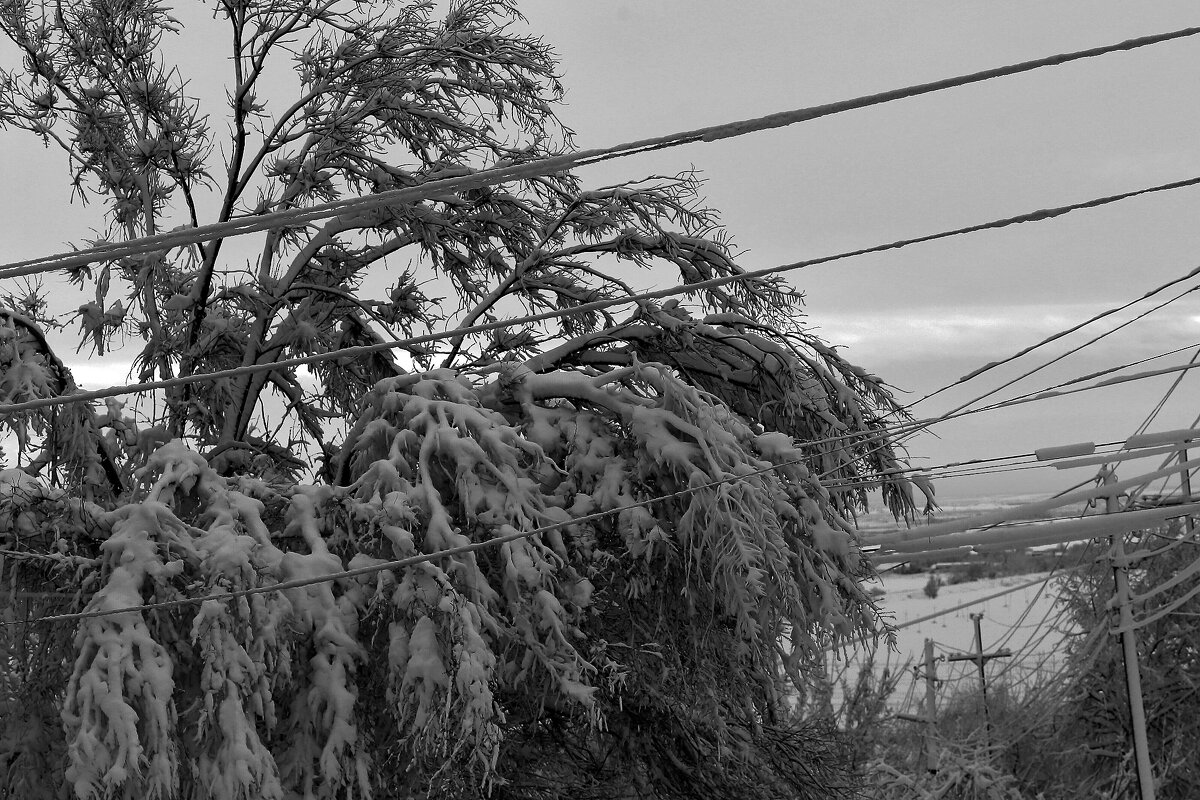 Снег! - Юрий Гайворонскiий