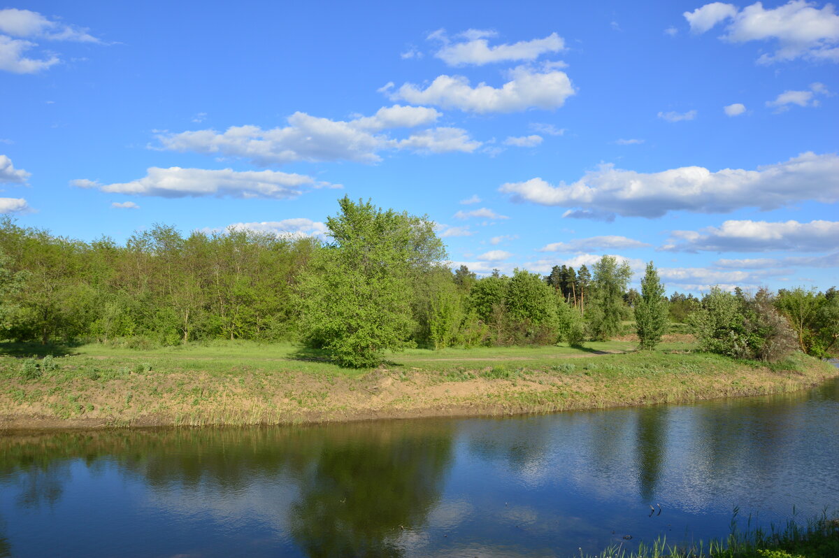 Тишина. - Виктор 