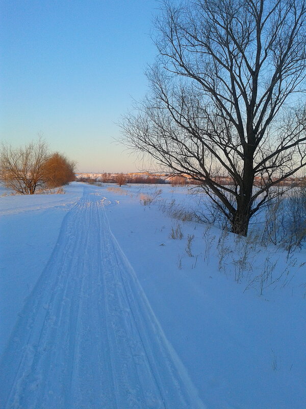 Дорога от снегоходов. - сергей ермошкин Дорога от снегоходов. - сергей ермошкин