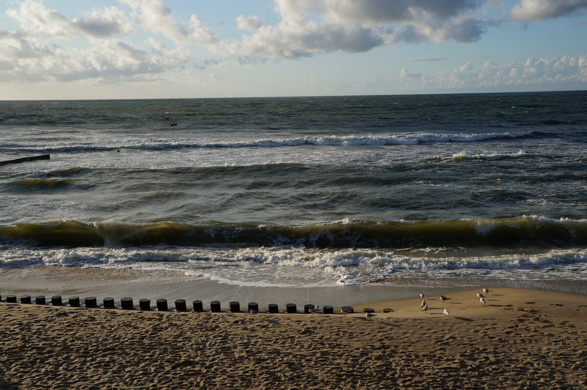 На морском берегу.... - Алёна Савина На морском берегу.... - Алёна Савина