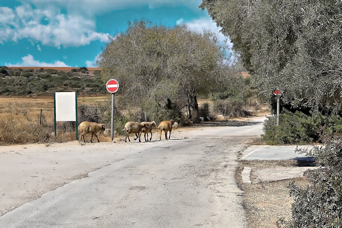 Нарушители. - Sergey Grim