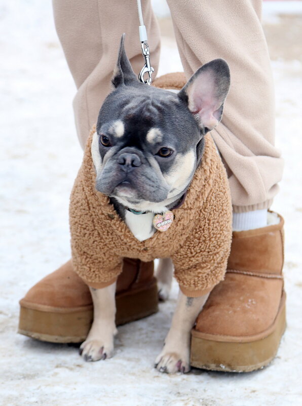 Ходынский парк - Михаил Бибичков Ходынский парк - Михаил Бибичков