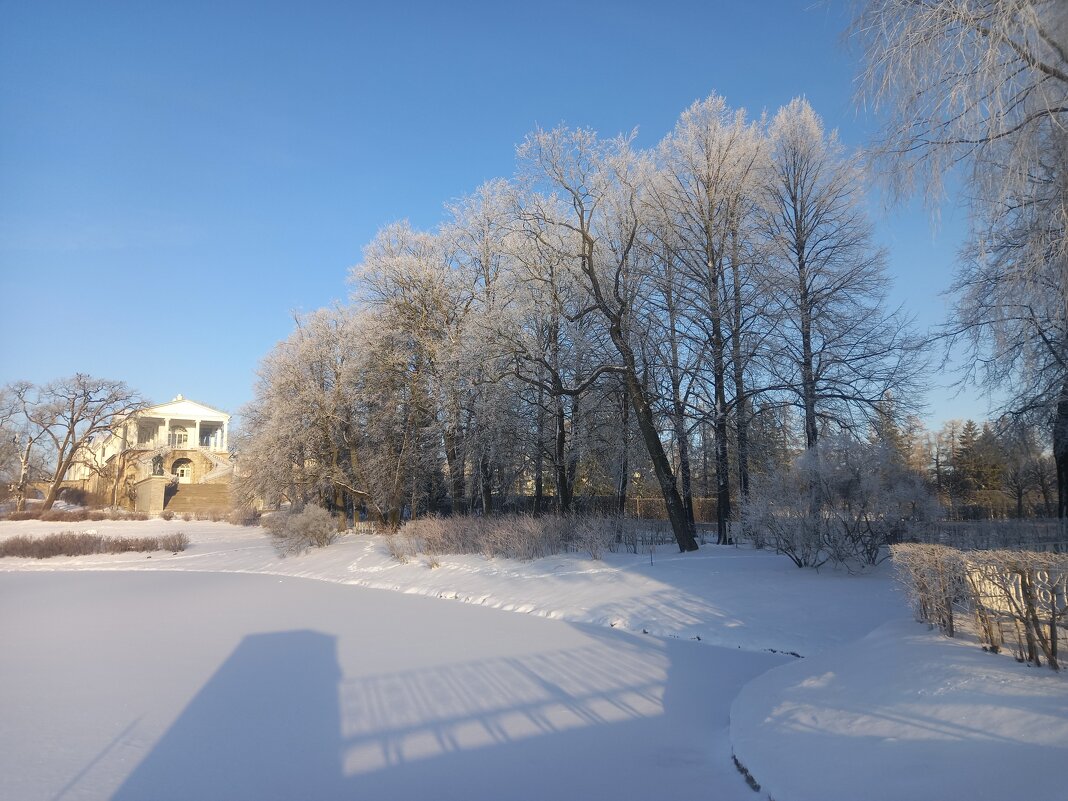 Зима - Сапсан 