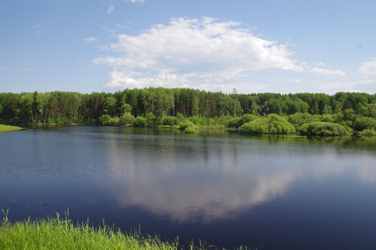 Облако в реке - Сергей Швечков