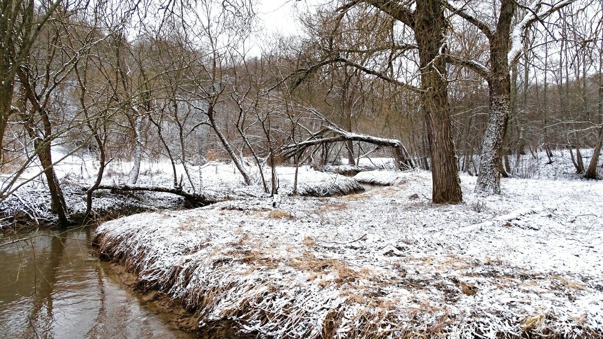 В городском парке. - Милешкин Владимир Алексеевич 