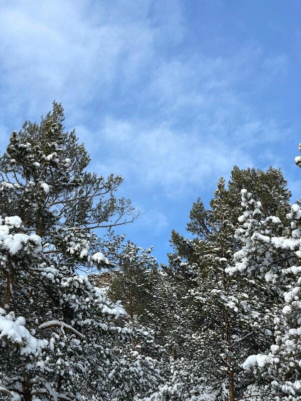 Небеса - Георгиевич 