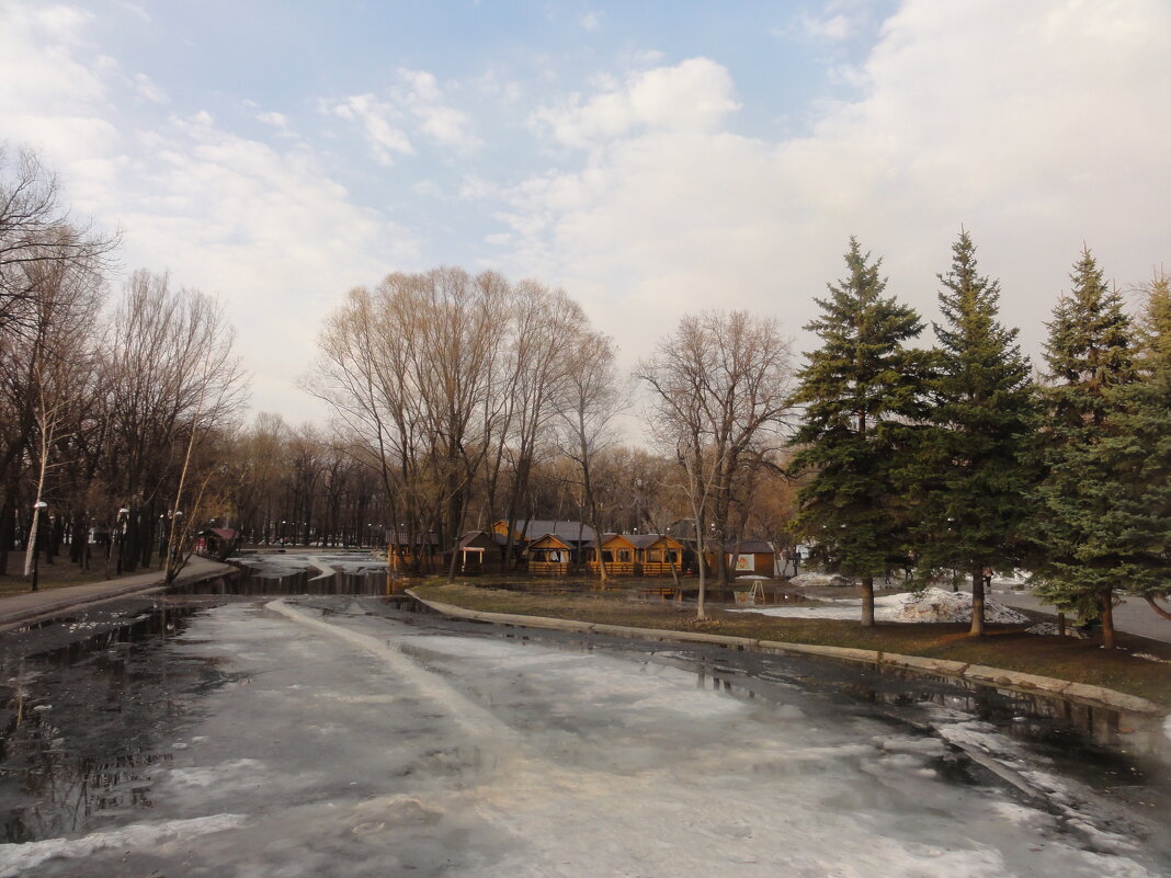 Парк Гагарина - марина ковшова 
