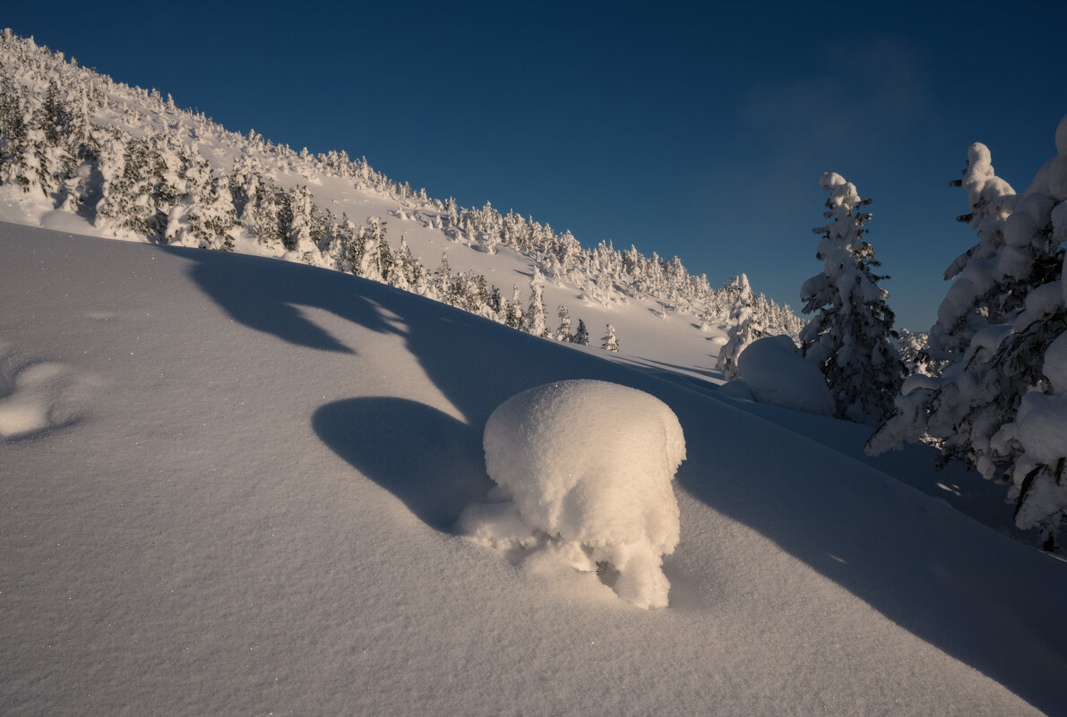 * - Александр Иванов