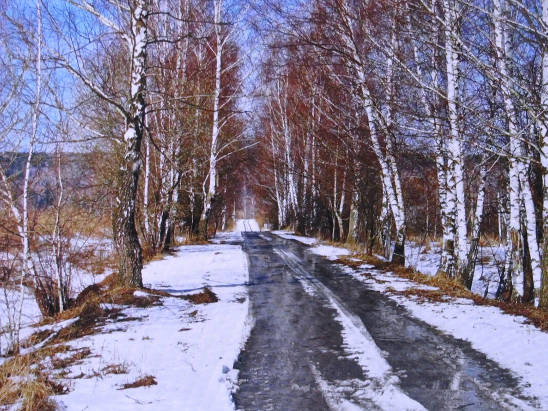 По февральской дороге - Людмила Смородинская