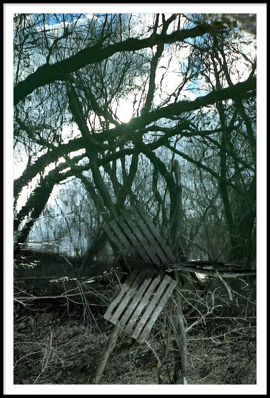 5 - Гонорий Голопупенко 5 - Гонорий Голопупенко