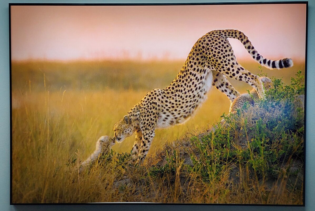 "Момент счастья" автор Чжоу Шуньхуа. Китай. - ИРЭН@ . "Момент счастья" автор Чжоу Шуньхуа. Китай. - ИРЭН@ .