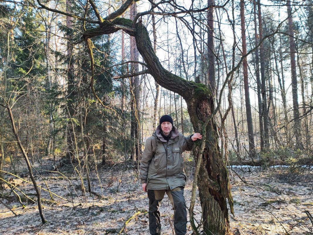 *** - Денис Бочкарёв