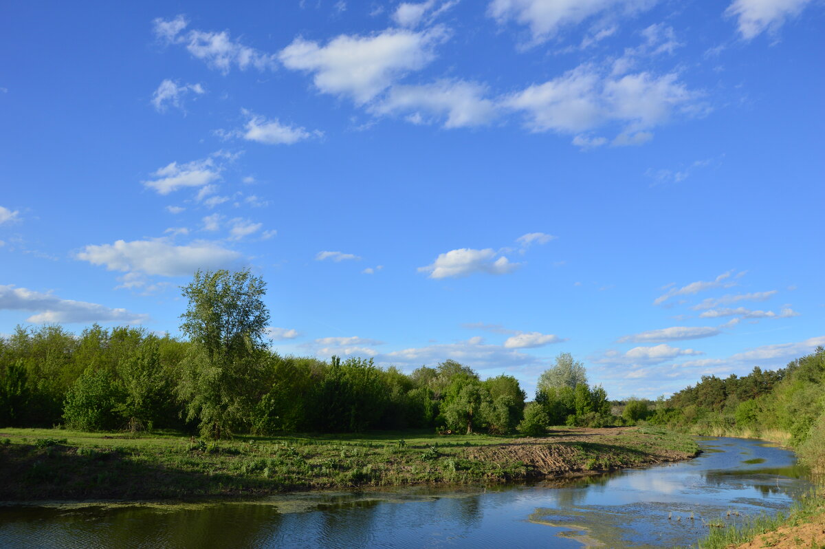 Вечер. - Виктор 