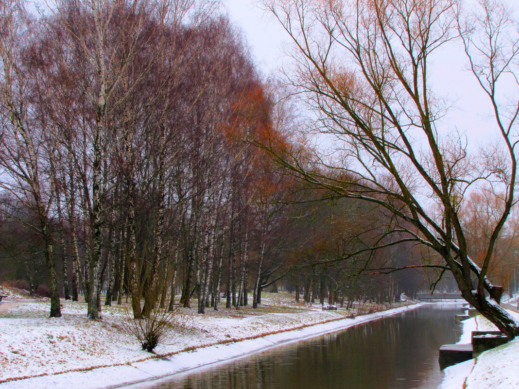 Конец января...Бесснежная зима... - Татьяна Гнездилова Конец января...Бесснежная зима... - Татьяна Гнездилова