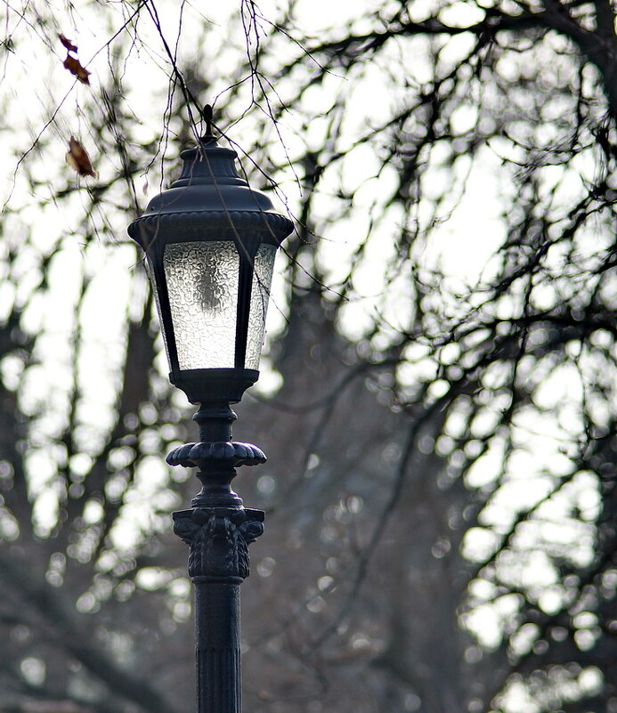 Про фонари одного парка... - Николай Саржанов Про фонари одного парка... - Николай Саржанов