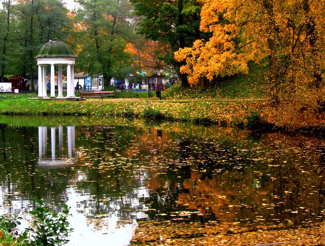 Осенний пруд - Сергей Карачин Осенний пруд - Сергей Карачин