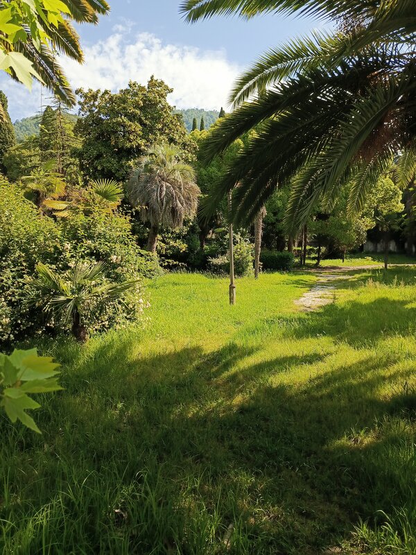 Новый Афон май 2024 - Татьяна Пальчикова Новый Афон май 2024 - Татьяна Пальчикова