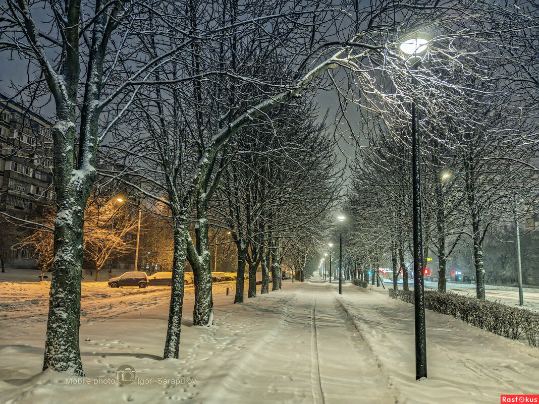 В городе зима - Игорь Сарапулов В городе зима - Игорь Сарапулов
