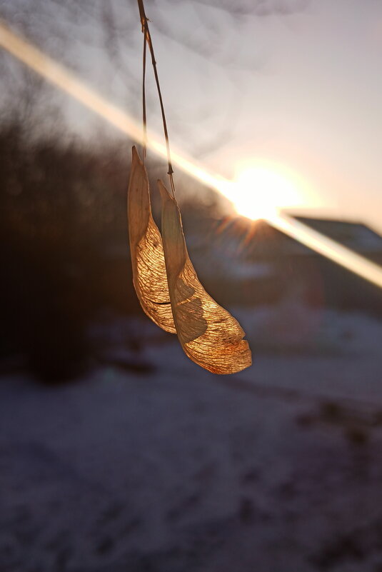С улыбкой загораем!.. - Игорь Родионов