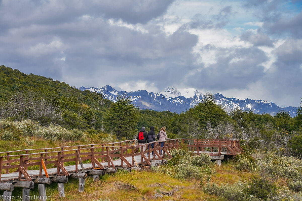 Огнеземельское лето... - Владимир Жданов Огнеземельское лето... - Владимир Жданов