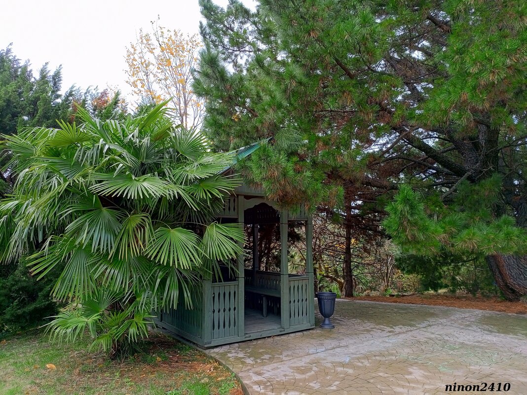 Адлер. Дендропарк "Южные культуры" - Нина Бутко Адлер. Дендропарк "Южные культуры" - Нина Бутко