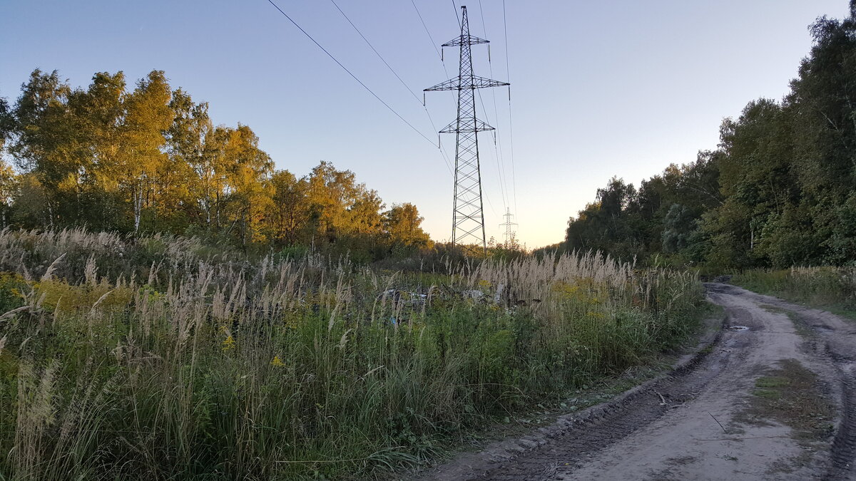 Лосиный остров, Московская область - Валентина Подгорная