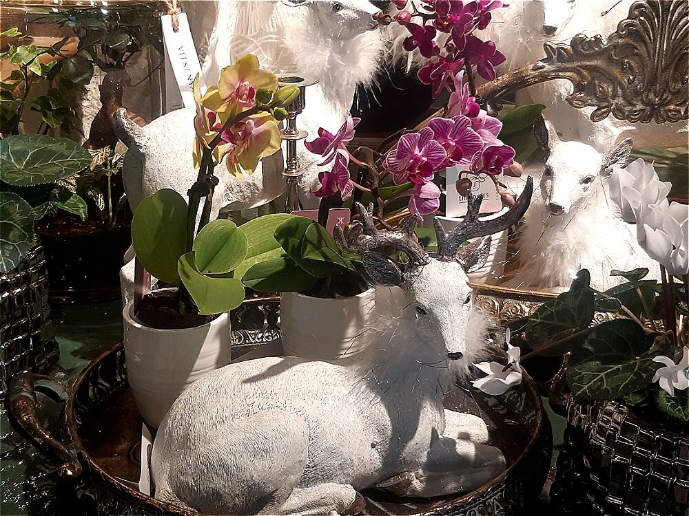 Люблю я ауру цветочных магазинов! - Нина Андронова