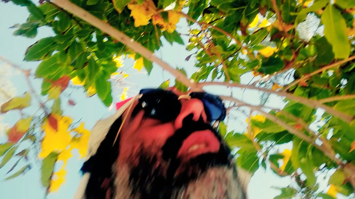 109 (91) - СТРЕН 