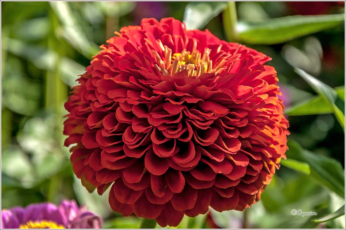 Про сентябрь... - Aquarius - Сергей Про сентябрь... - Aquarius - Сергей