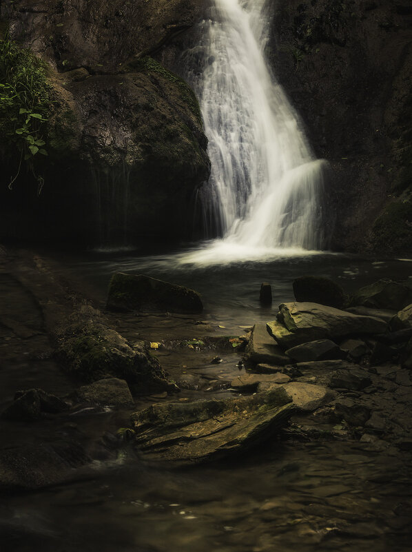 звук леса - Alexander Asedach