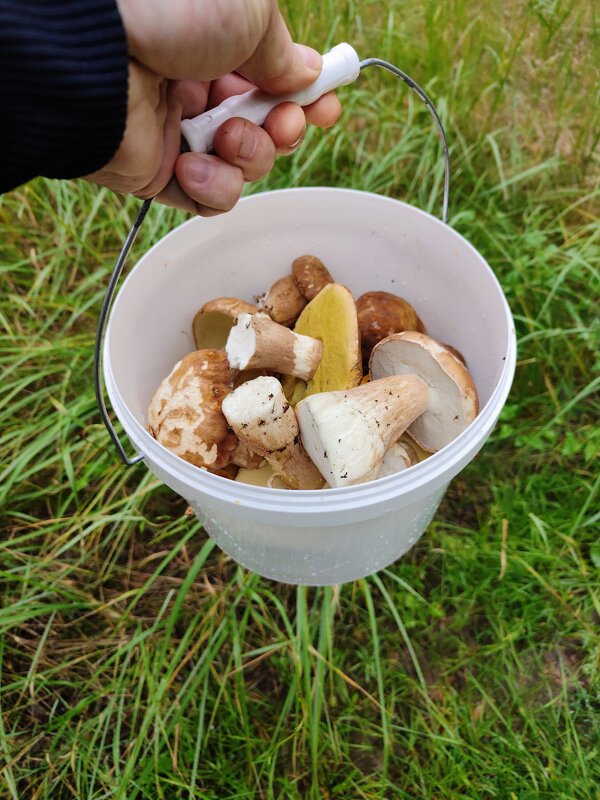 Это так... на разок, пожарить. - Валерий Судачок