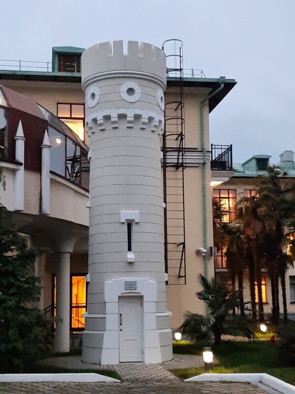 Санаторий Авангард Сочи. Январь 2025 - Tata Wolf