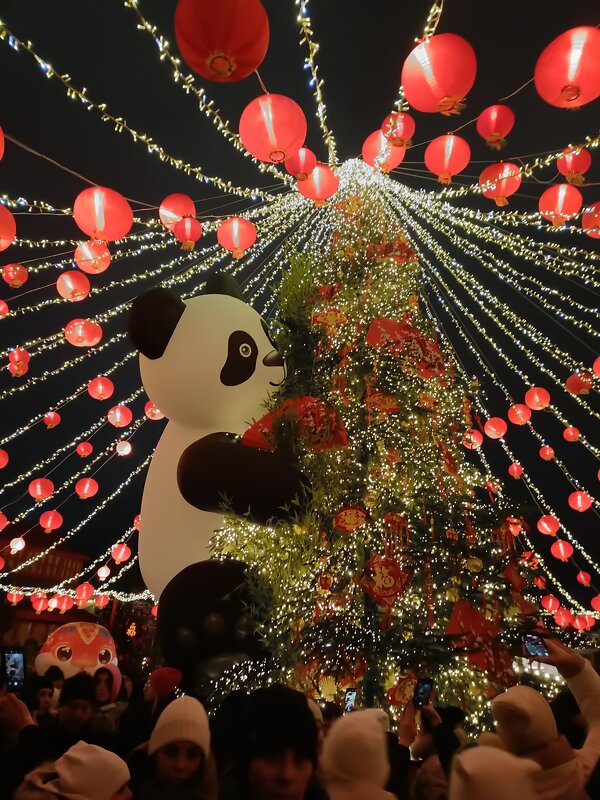 по китайскому  календарю... - Галина R...