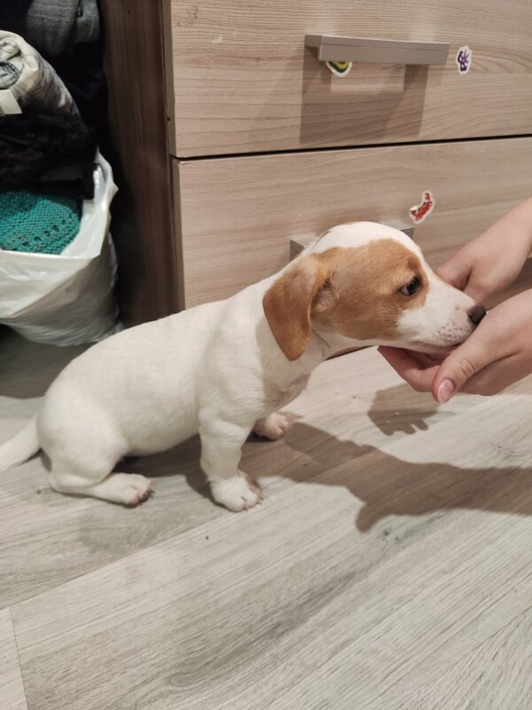 Первое знакомство. - Ольга Первое знакомство. - Ольга