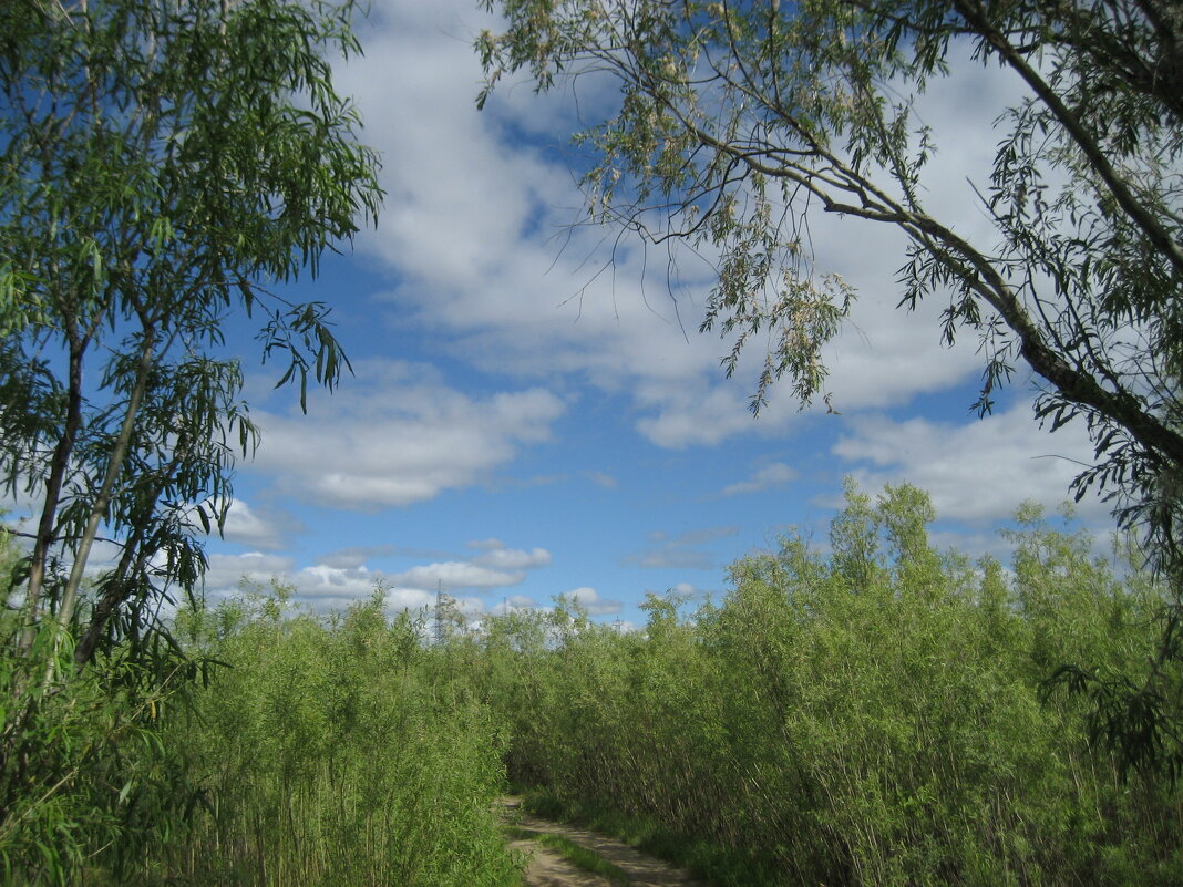 Лето - Anna Ivanova Лето - Anna Ivanova