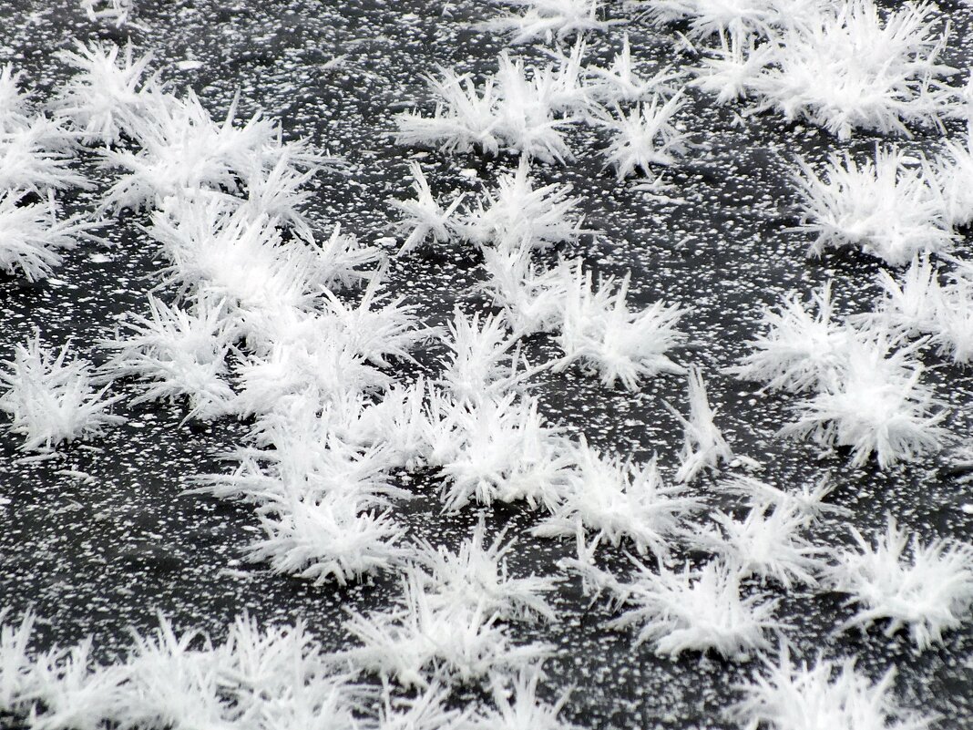 ** - Зоя Мишина