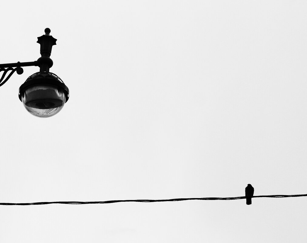 МИНИМАЛИЗМ - Виктор Никитенко