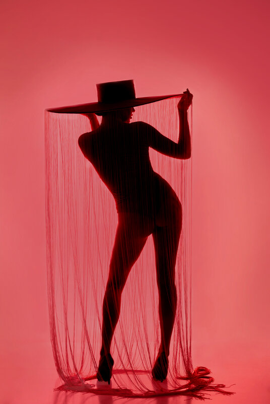 Силуэт - Лилия Селезнева