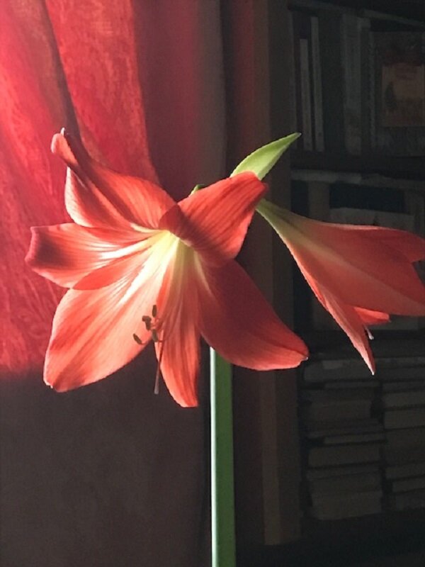 Весна на пороге... - Татьяна Юрасова