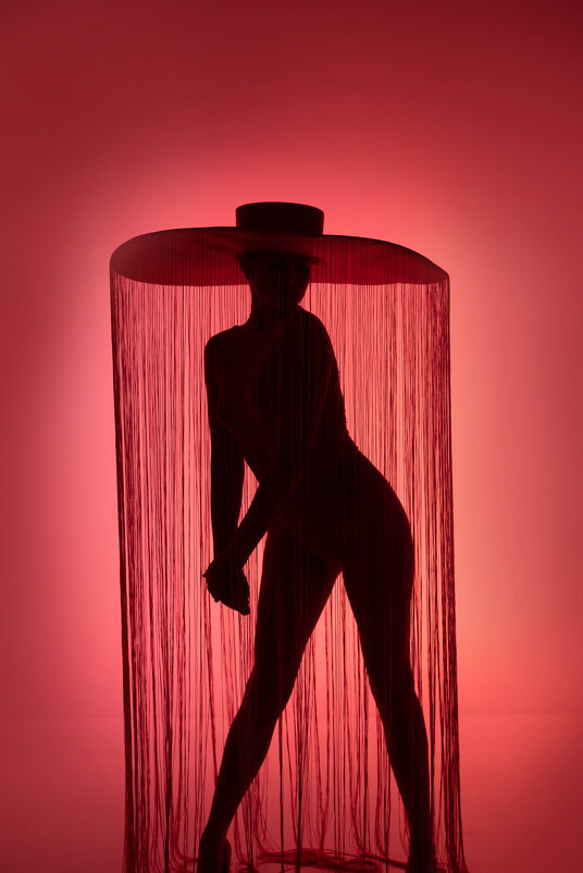 Силуэт девушки - Лилия Селезнева Силуэт девушки - Лилия Селезнева