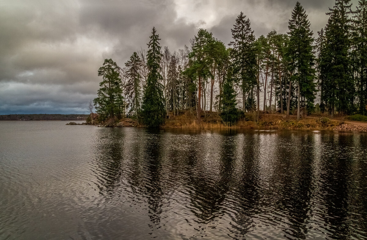 16.11.2024 Парк Монрепо в Выборге - Андрей Дворников 16.11.2024 Парк Монрепо в Выборге - Андрей Дворников