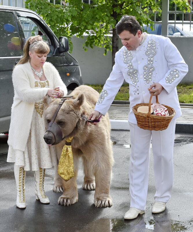 Перед представлением - Валерий Судачок